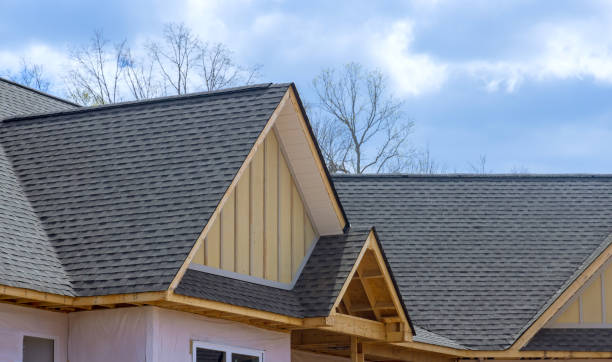 Best Sheet Metal Roofing  in Wilkinsburg, PA